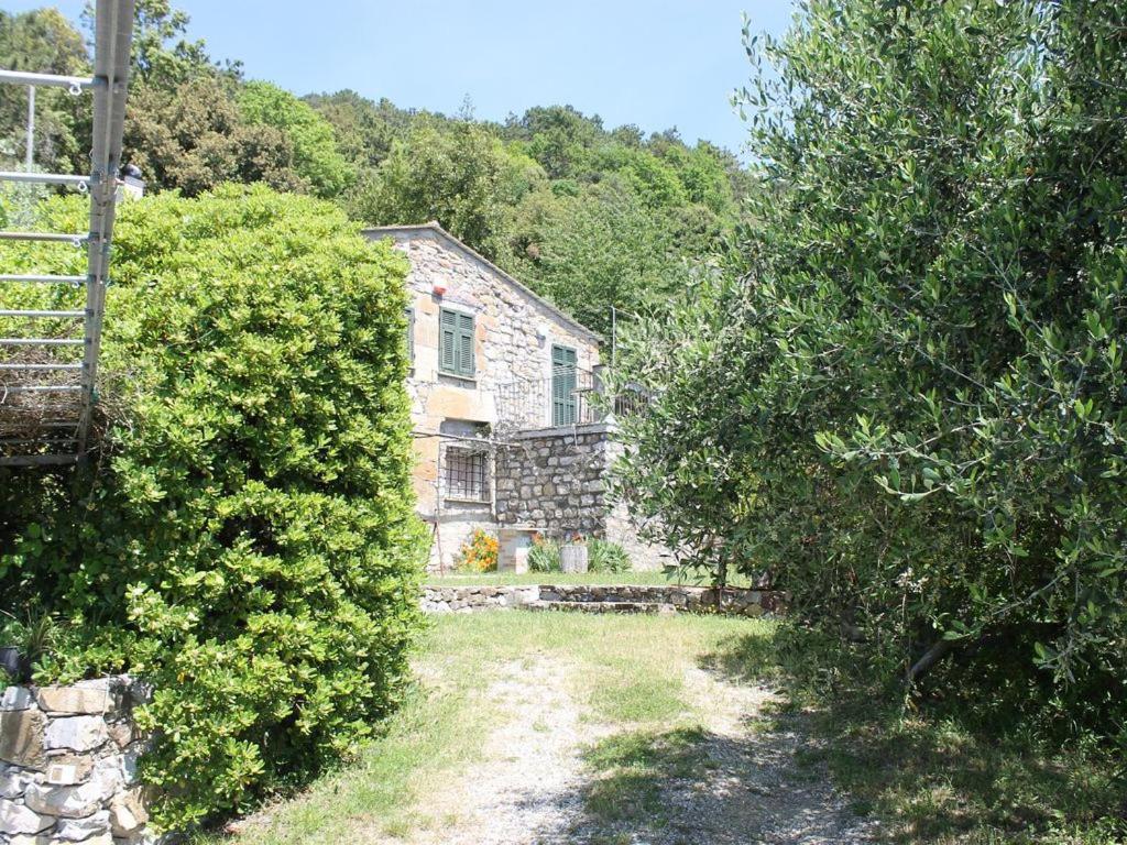 Cottage La Casa Del Pittore Reggimonti Exterior foto